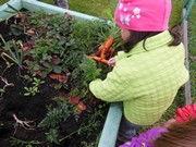 Zahradničíme ve školce